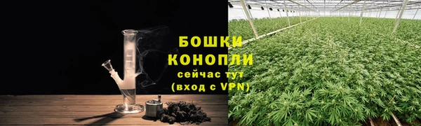 дмт Арсеньев