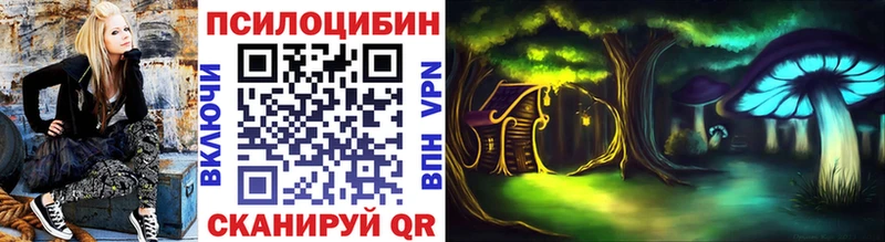 Галлюциногенные грибы Psilocybine cubensis  цены   Курильск 